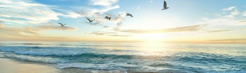 Photo de frank mckenna sur Unsplash